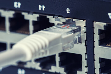 Network switch and UTP ethernet cables