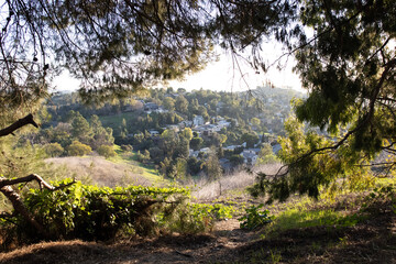 spring in the mountains