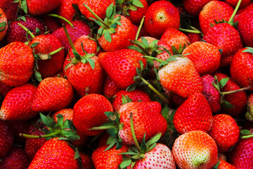close up  Beautiful red ripe strawberries in top view.