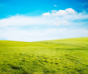 Obraz premium beautiful summer fields