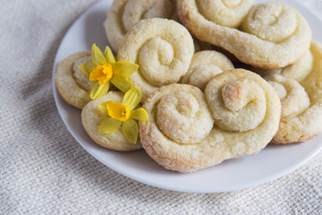 Homemade cottage cheese and sugar cookies on white plate, selective focus. Easter pastry