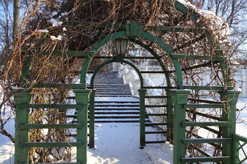 Close up of a green arch pergola in Kadriorg park covered with dry branches on a sunny day. Snowy...