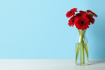 Bouquet of beautiful red gerbera flowers in glass vase on light blue background. Space for text - obrazy, fototapety, plakaty