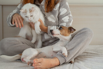 Fototapeta na wymiar Caucasian woman holding a white fluffy cat and Jack Russell Terrier dog while sitting on the bed. The red-haired girl hugs with pets.