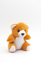 Cute teddy bear on white background