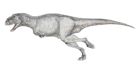 マジュンガサウルス　白亜紀後期の終り頃、現在のマダガスカルに生息していた恐竜。ケラトサウルス下目の獣脚類でアベリサウルス科。学名はマダガスカルの州都であるマジュンガ州の近くで発見されたことに因んでいる。ティラノサウルスのようなセレーションの刻まれたステーキ用ナイフのような歯を持っていた。頑丈な頸椎、軽量化された骨格をもち、全長8メートルの体格と強い筋力があり大型の獲物を捕食。 - obrazy, fototapety, plakaty