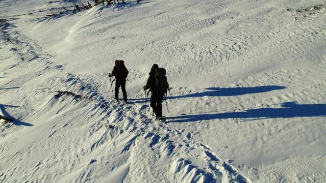 Backpackers go to the top of the hiil early in the morning. Beautiful sunrise at mountains. Winter snowy forest.

