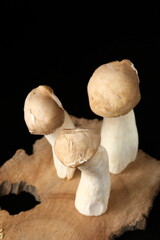 Whole fresh king oyster mushrooms