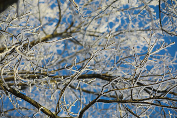Winter landscape. Fairy-tale beauty of snow-covered streets. Snowfall and cooling in tourist areas.