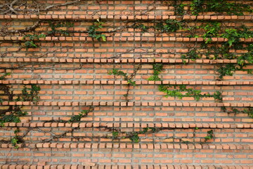 dirty block interior design, birck wall background