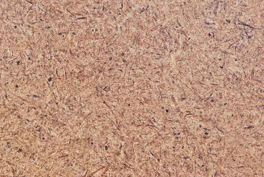 รูปภาพMasonite เลือกดูภาพถ่ายสต็อก เวกเตอร์ และวิดีโอ262 Adobe Stock