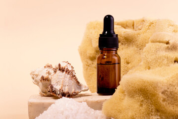 Spa And Beauty Care Set of Cosmetic oil Bottle Sea Sponge Soap and Various Shells.