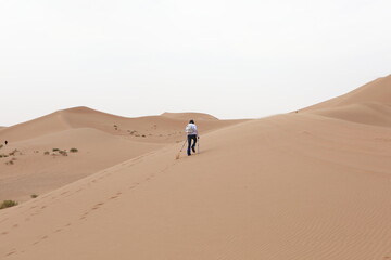 Fototapeta na wymiar Chinese tourists trekking in Alxa desert