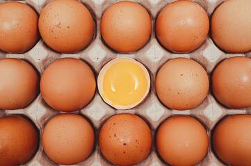 Broken egg with many eggs and yolk visible.