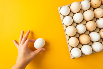 Cardboard tray with organic farm chicken eggs and woman's hand with egg near. Yellow background....
