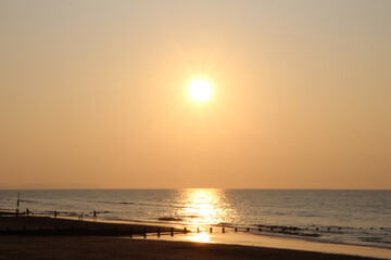 Sunset Swim at Golden hour