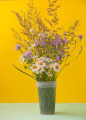 Bright colorful bouquet of wild flowers in a vase on a yellow background. Template for postcard or your design. Concept for Women's Day or Mother's Day, Hello Summer
