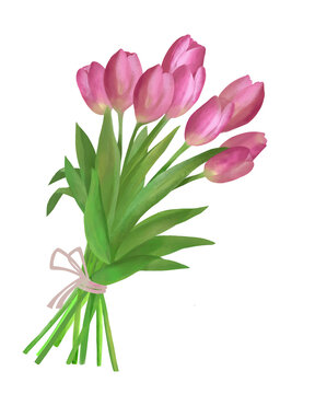 Bright spring bouquet of pink tulip buds isolated on white background