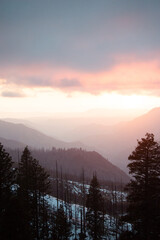 Burning Pink Orange Purple Sunset Yosemite National Park With Silhouette of Pine Trees And Redwoods