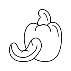 cashew nut line icon vector illustration