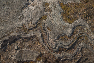 The texture of the rocks. Photo of nature texture of stones. Close-up. high quality photo. Finnish nature