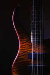 Five Strings Bass Guitar