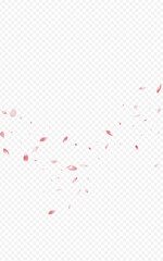 Delicate Blossom Japan Vector Transparent