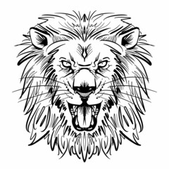 威嚇するライオン-正面図