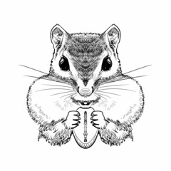 ほおばるリス-正面図 © freehand