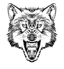 威嚇する狼-正面図