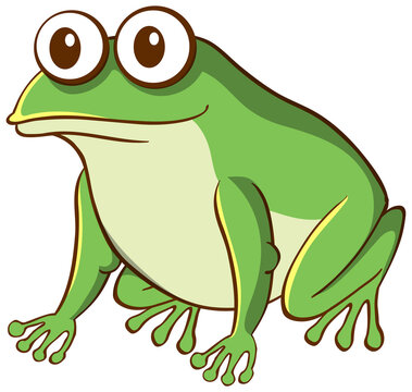 Green frog animal cartoon on white background