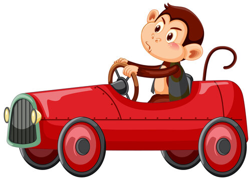 Little monkey driving red race car on white background