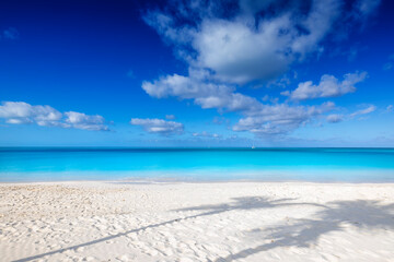 Fototapeta premium A tropical paradise beach with fine sand, shadows of coconut palm trees and turquoise, shining ocean as a background