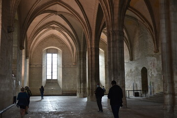 Voûtes du palais des Papes d'Avignon. France
