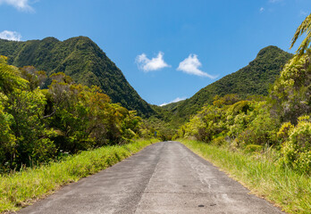 Cirques et remparts - Forêt de Bébour - Ile de La Réunion