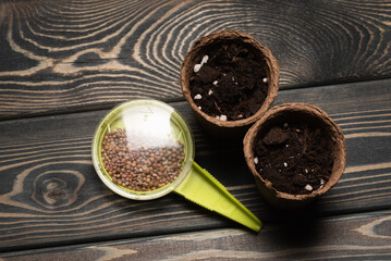 Flower plant pots and seeds dispenser container on the wooden flat lay table background. Gardening background.