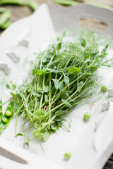 Fresh green peas micro greens
