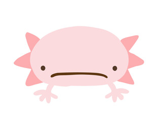 かわいいウーパールーパー／手描きイラスト素材