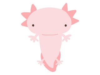 かわいいウーパールーパー／手描きイラスト素材