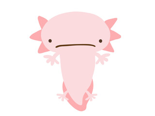 かわいいウーパールーパー／手描きイラスト素材