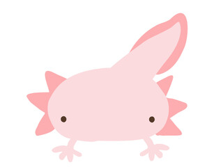 かわいいウーパールーパー／手描きイラスト素材