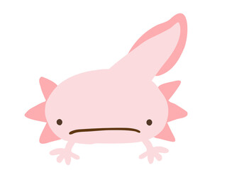 かわいいウーパールーパー／手描きイラスト素材