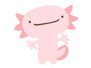 かわいいウーパールーパー／手描きイラスト素材