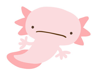 かわいいウーパールーパー／手描きイラスト素材