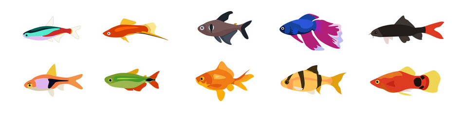 Set of lovely small fish from different form on white background. Vector beautiful aquarium fish in cartoon style.