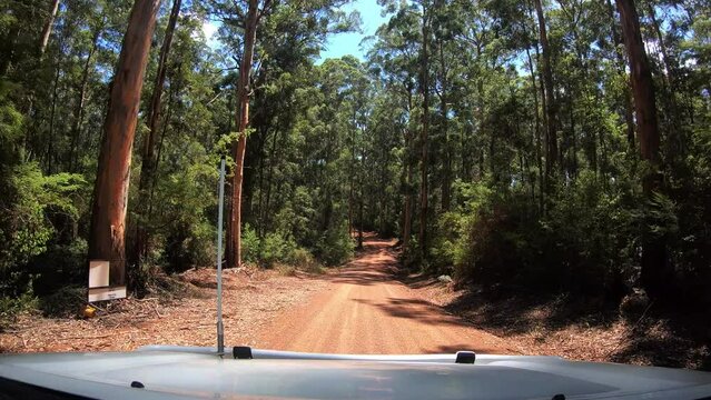 POV vehicle during a road trip Karri Forest Explore way Western Australia