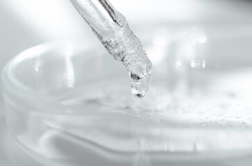 Close-up - the structure of the gel. Transparent cosmetic gel in a Petri dish. Laboratory research...