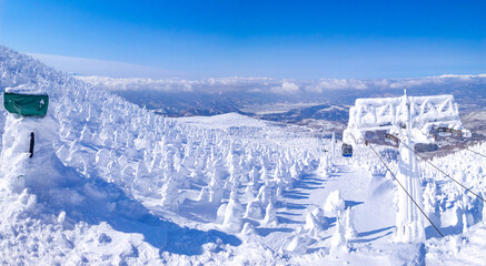 Snow monsters (soft rime) with cable cars passing through between them (Zao-onsen ski resort,...