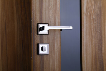 beautiful fittings for doors made of natural veneer 