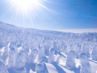 Snow monsters (soft rime) plateau with the sun (Zao-onsen ski resort, Yamagata, Japan)